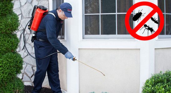Adalar Hamam Böceği İlaçlama böcek ilaçlama ve haşere kontrolü — ilaclama-tr.com